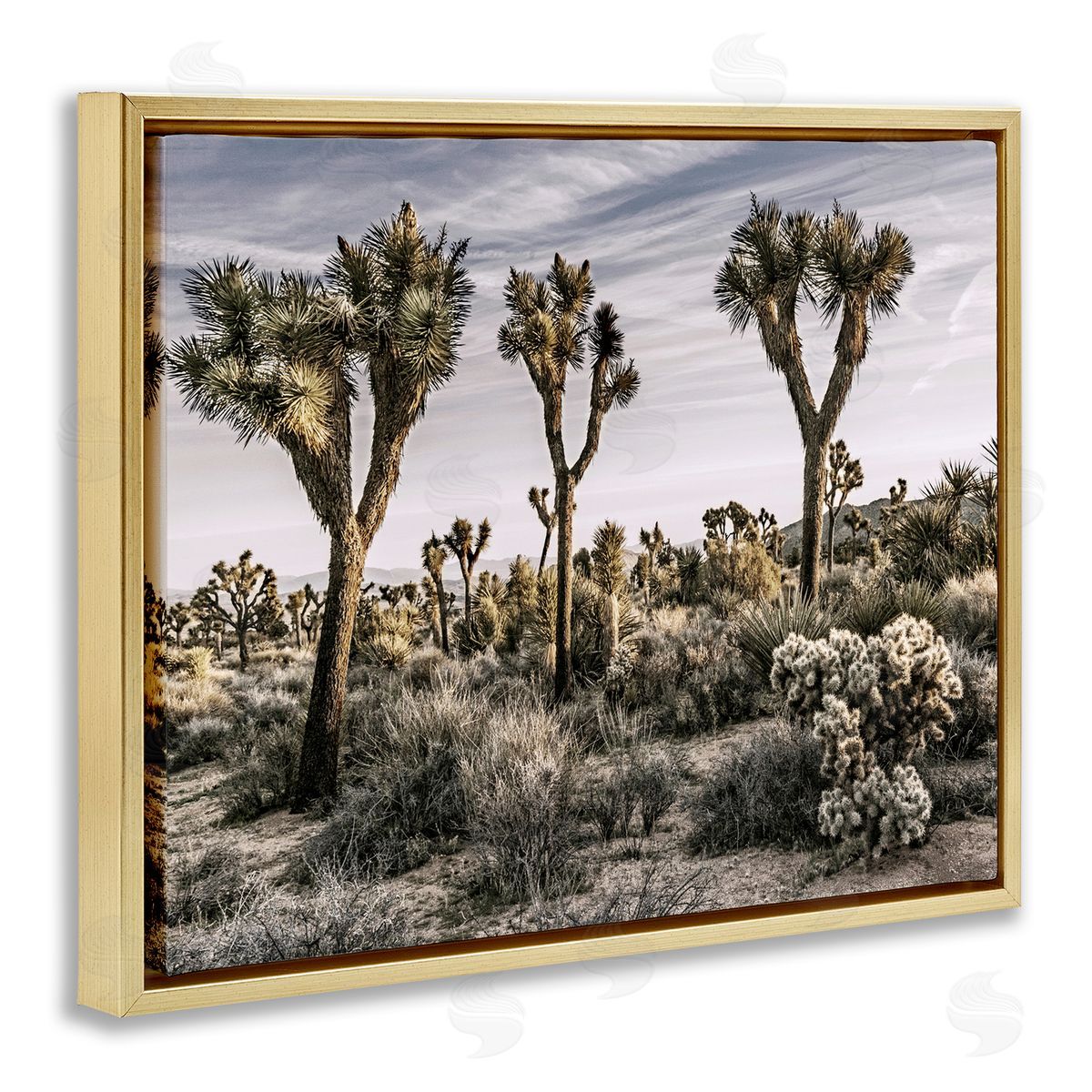 Desert Cacti Vegetation Gold Floating Frame Canvas Wall Art, Home Decor by Rachel Perry
