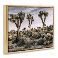 Rachel Perry | Desert Cacti Vegetation