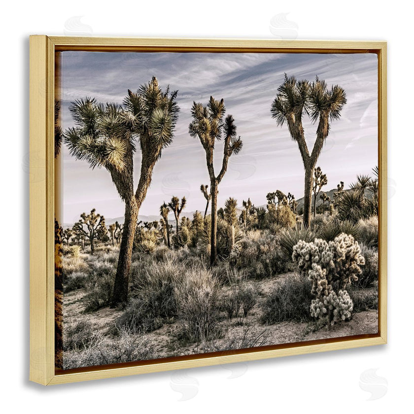 Rachel Perry | Desert Cacti Vegetation