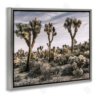Rachel Perry | Desert Cacti Vegetation