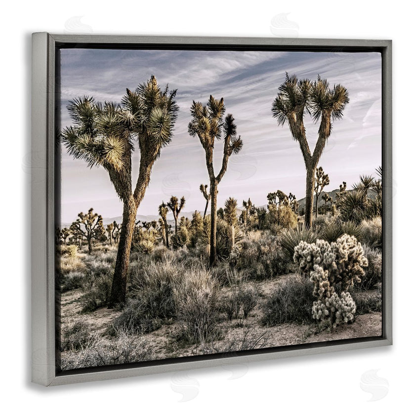 Rachel Perry | Desert Cacti Vegetation
