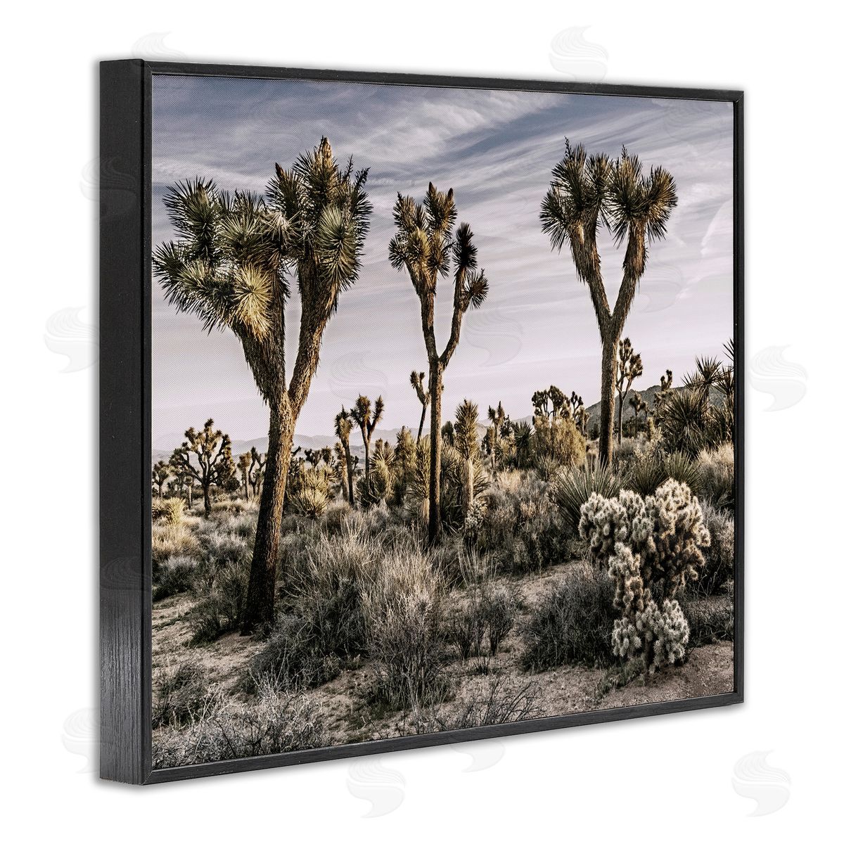 Desert Cacti Vegetation Black Frame Print Wall Art, Home Decor by Rachel Perry