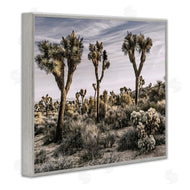 Rachel Perry | Desert Cacti Vegetation