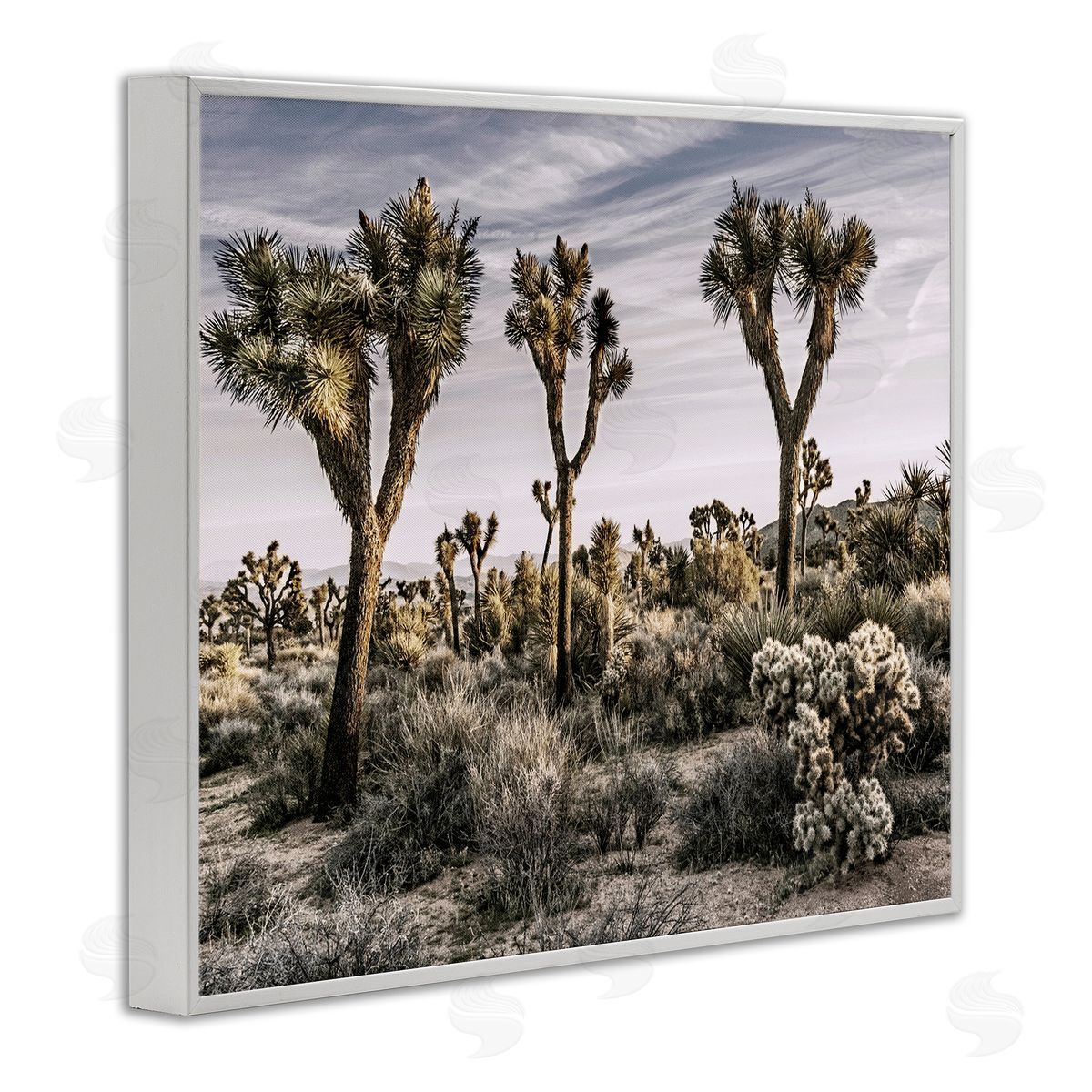 Desert Cacti Vegetation White Frame Print Wall Art, Home Decor by Rachel Perry