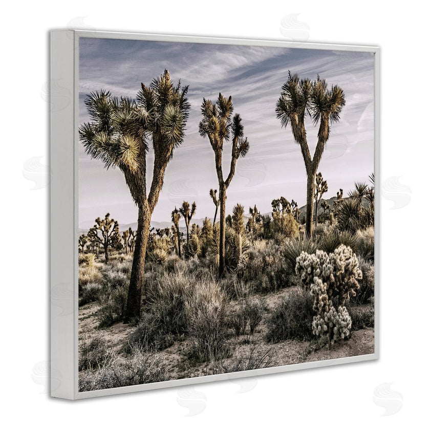 Rachel Perry | Desert Cacti Vegetation