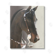 Kari Brooks | Horse with Bridle