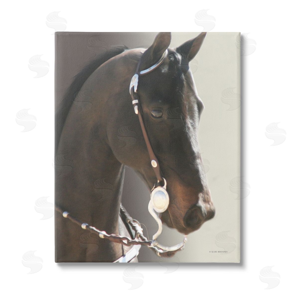 Kari Brooks | Horse with Bridle