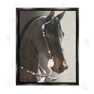 Kari Brooks | Horse with Bridle