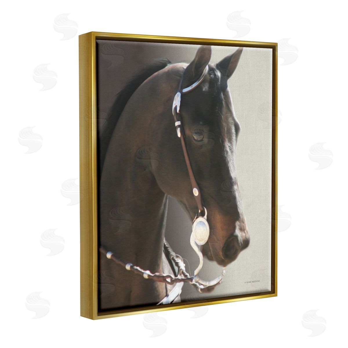 Kari Brooks | Horse with Bridle