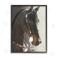 Kari Brooks | Horse with Bridle