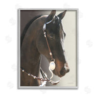 Kari Brooks | Horse with Bridle