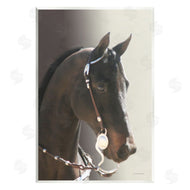 Kari Brooks | Horse with Bridle