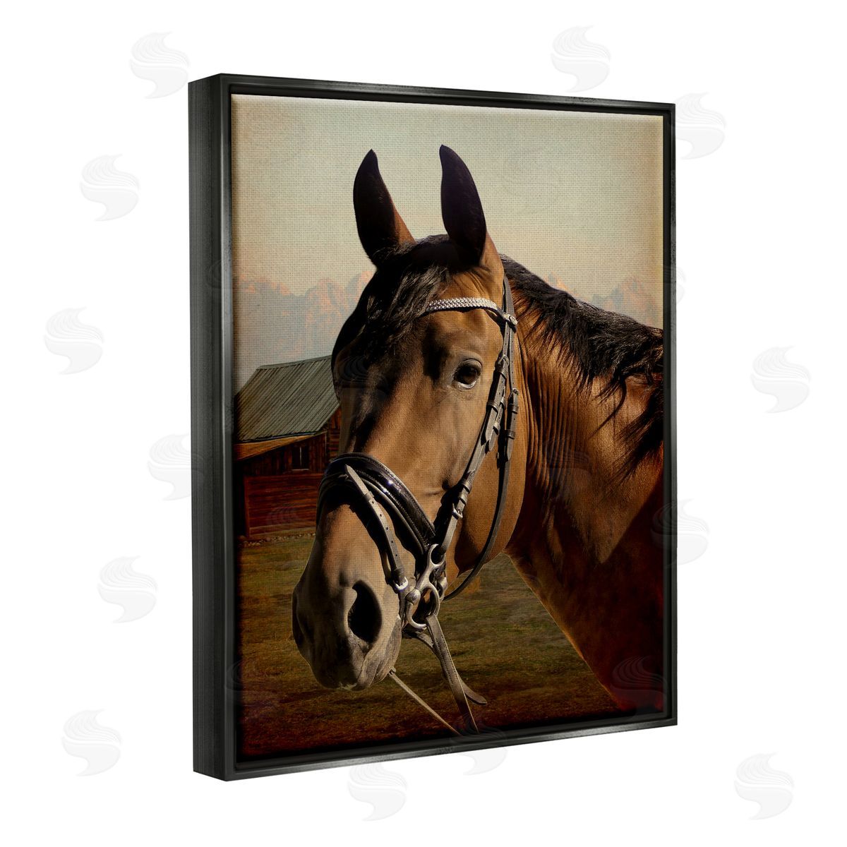 Marcus Prime | Brown Horse Portrait