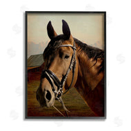 Marcus Prime | Brown Horse Portrait