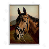 Marcus Prime | Brown Horse Portrait