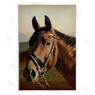 Marcus Prime | Brown Horse Portrait