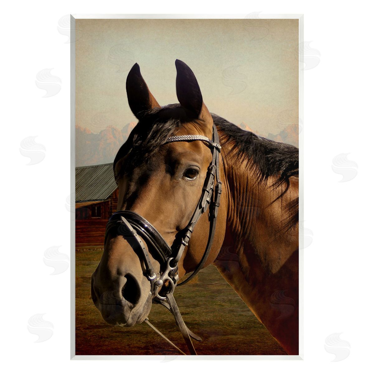 Marcus Prime | Brown Horse Portrait