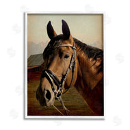 Marcus Prime | Brown Horse Portrait