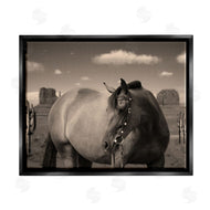 Marcus Prime | Desert Horse Photography