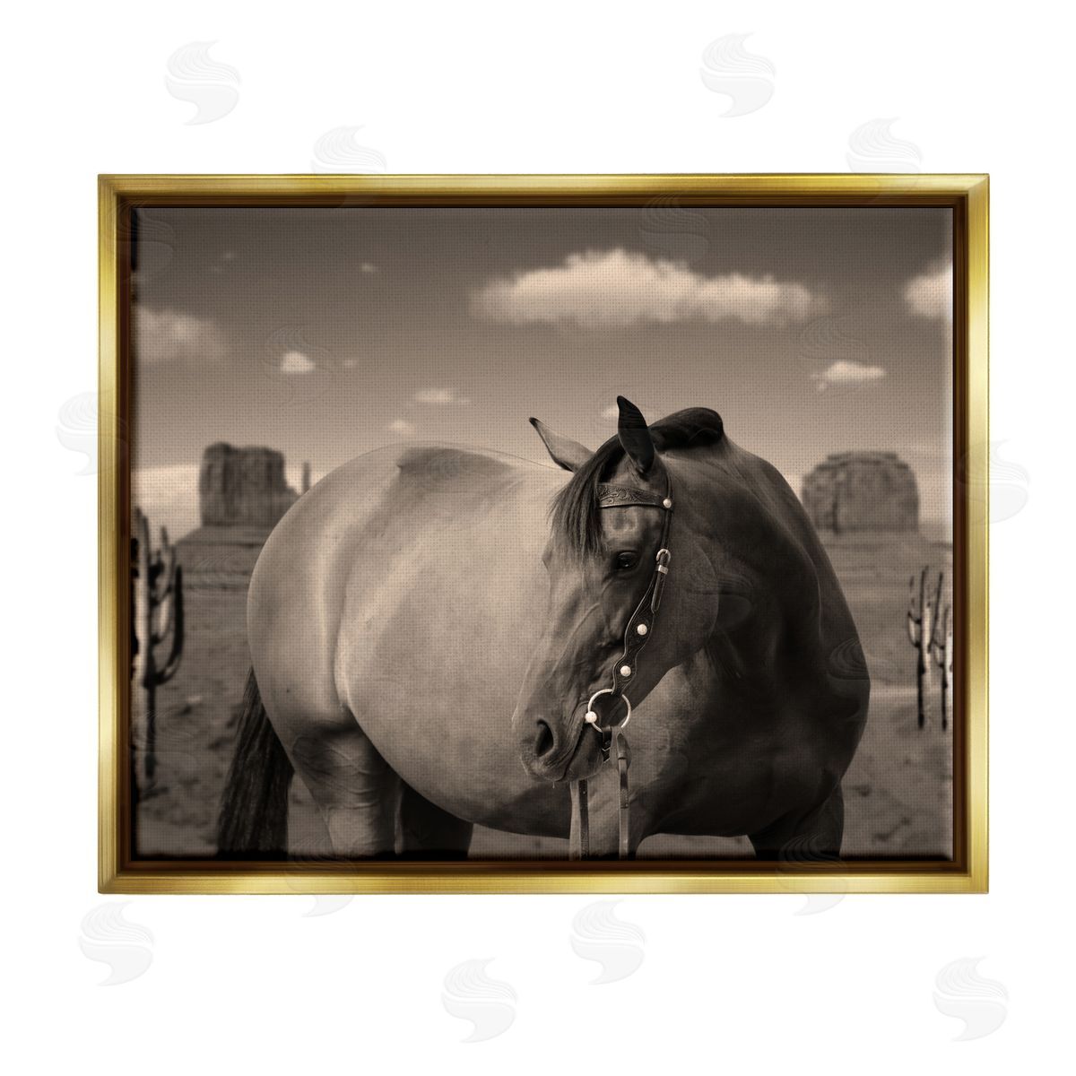Marcus Prime | Desert Horse Photography