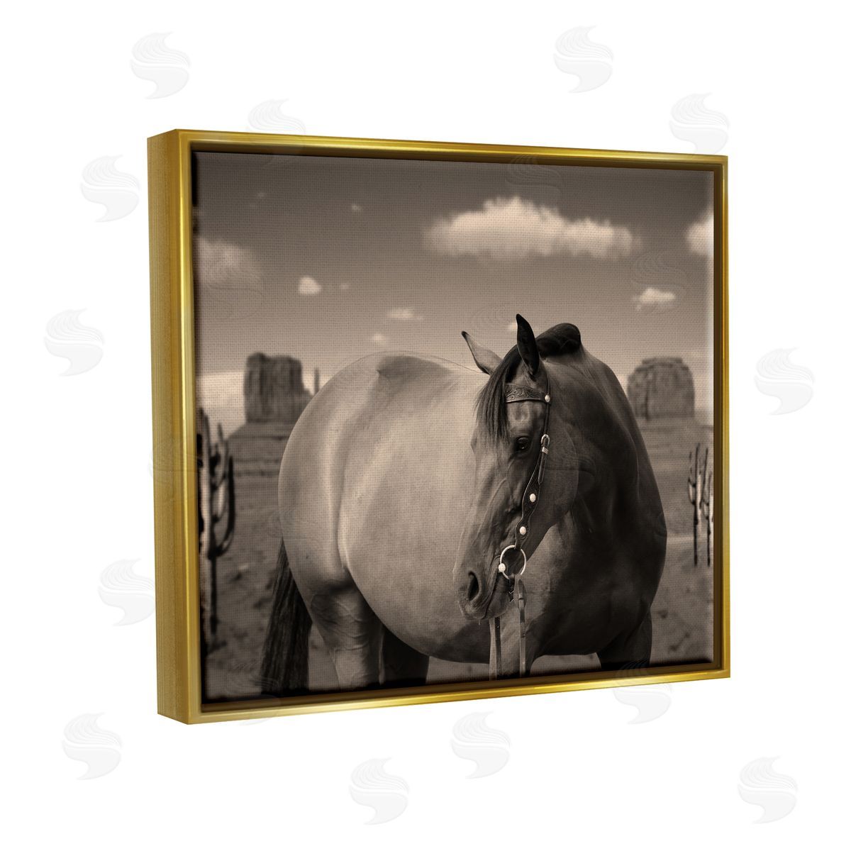 Marcus Prime | Desert Horse Photography