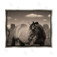 Marcus Prime | Desert Horse Photography