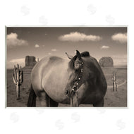 Marcus Prime | Desert Horse Photography