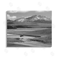 Steve Toole | Bison in Mountain Scene
