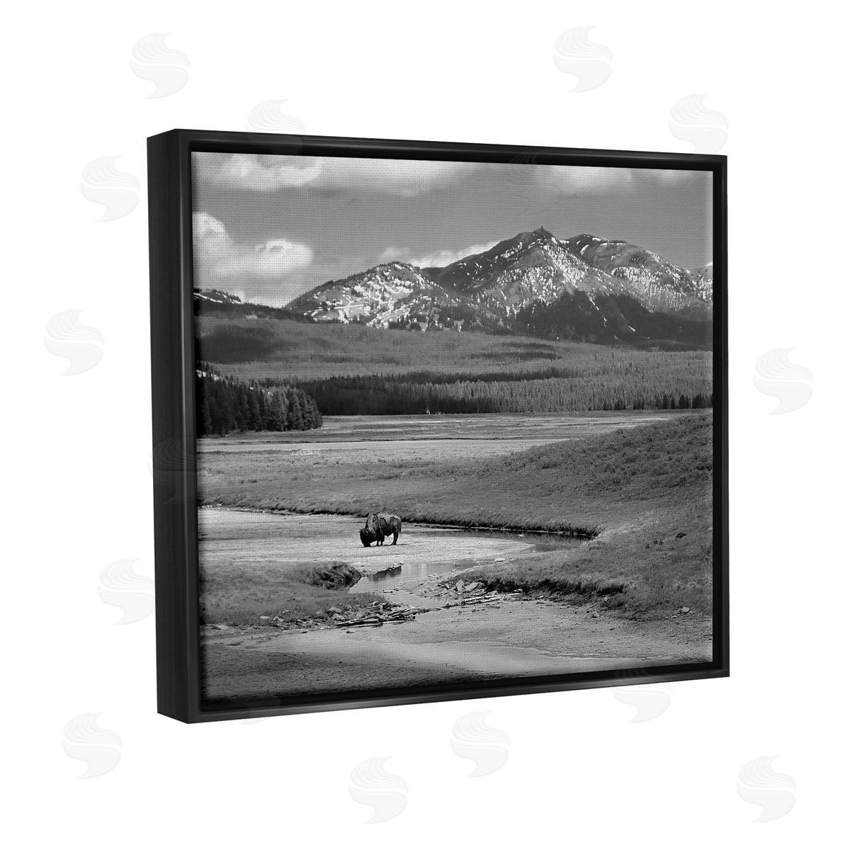 Steve Toole Bison in Mountain Scene Black Floater Frame Canvas Artside_