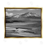 Steve Toole | Bison in Mountain Scene