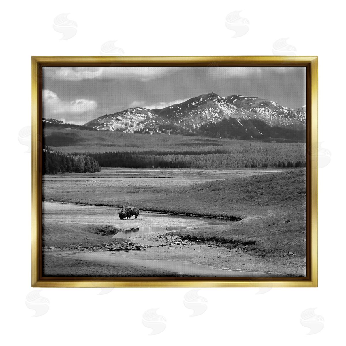 Steve Toole | Bison in Mountain Scene