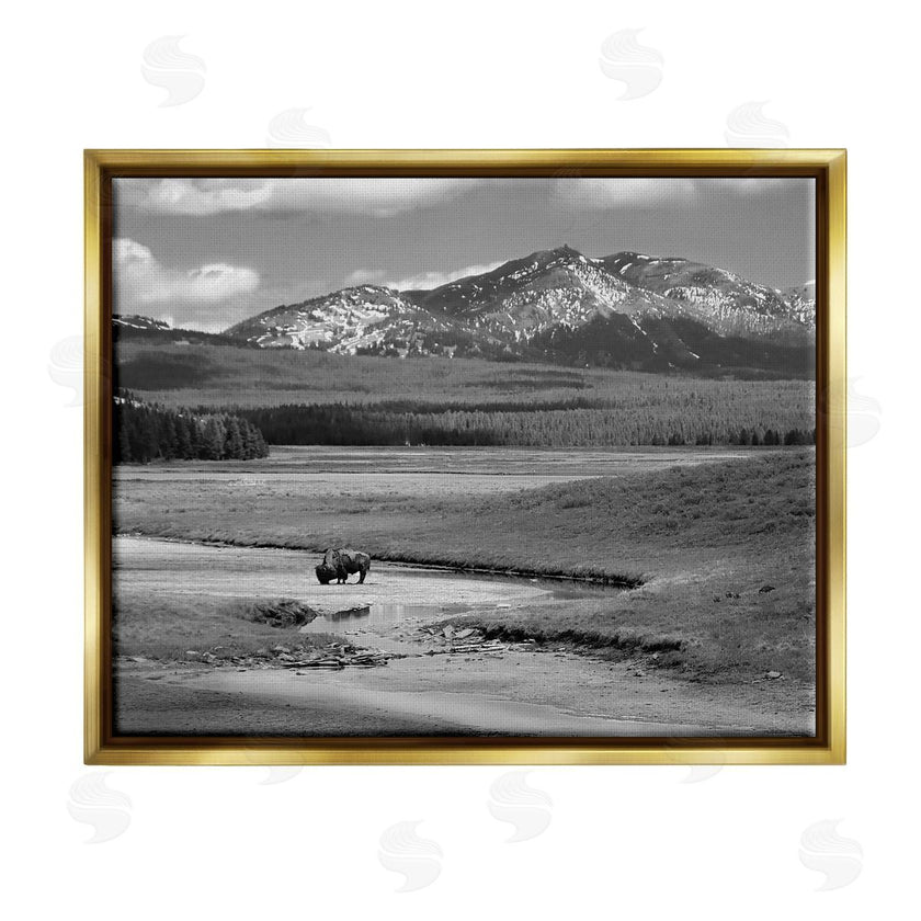 Steve Toole | Bison in Mountain Scene