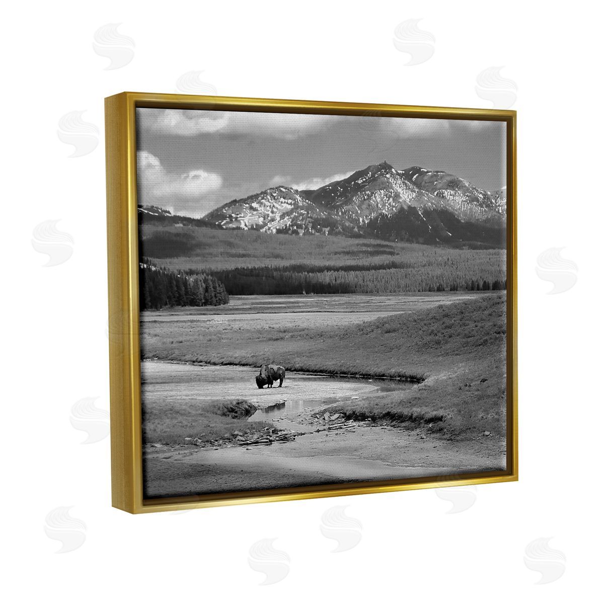 Steve Toole Bison in Mountain Scene Gold Floater Frame Canvas Artside_