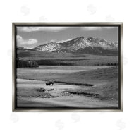 Steve Toole | Bison in Mountain Scene
