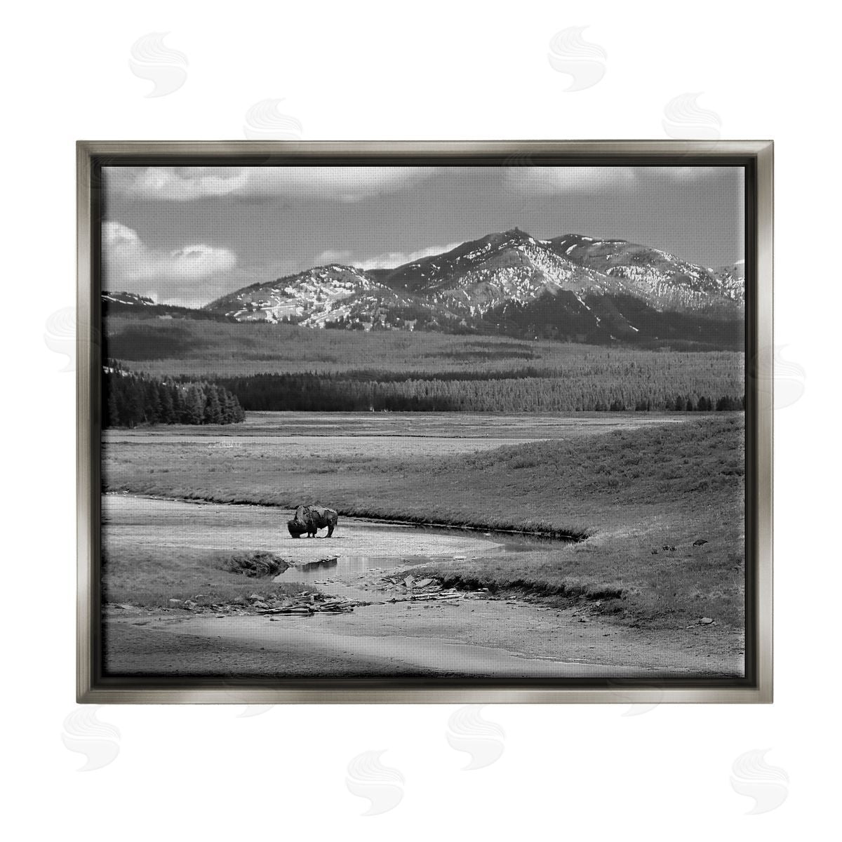 Steve Toole | Bison in Mountain Scene
