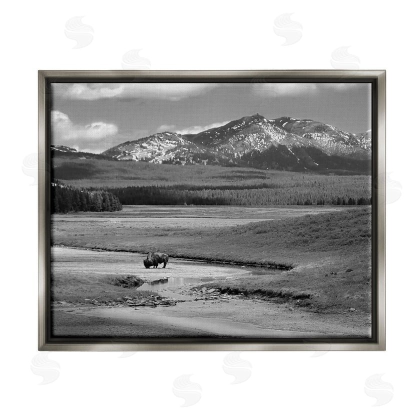 Steve Toole | Bison in Mountain Scene