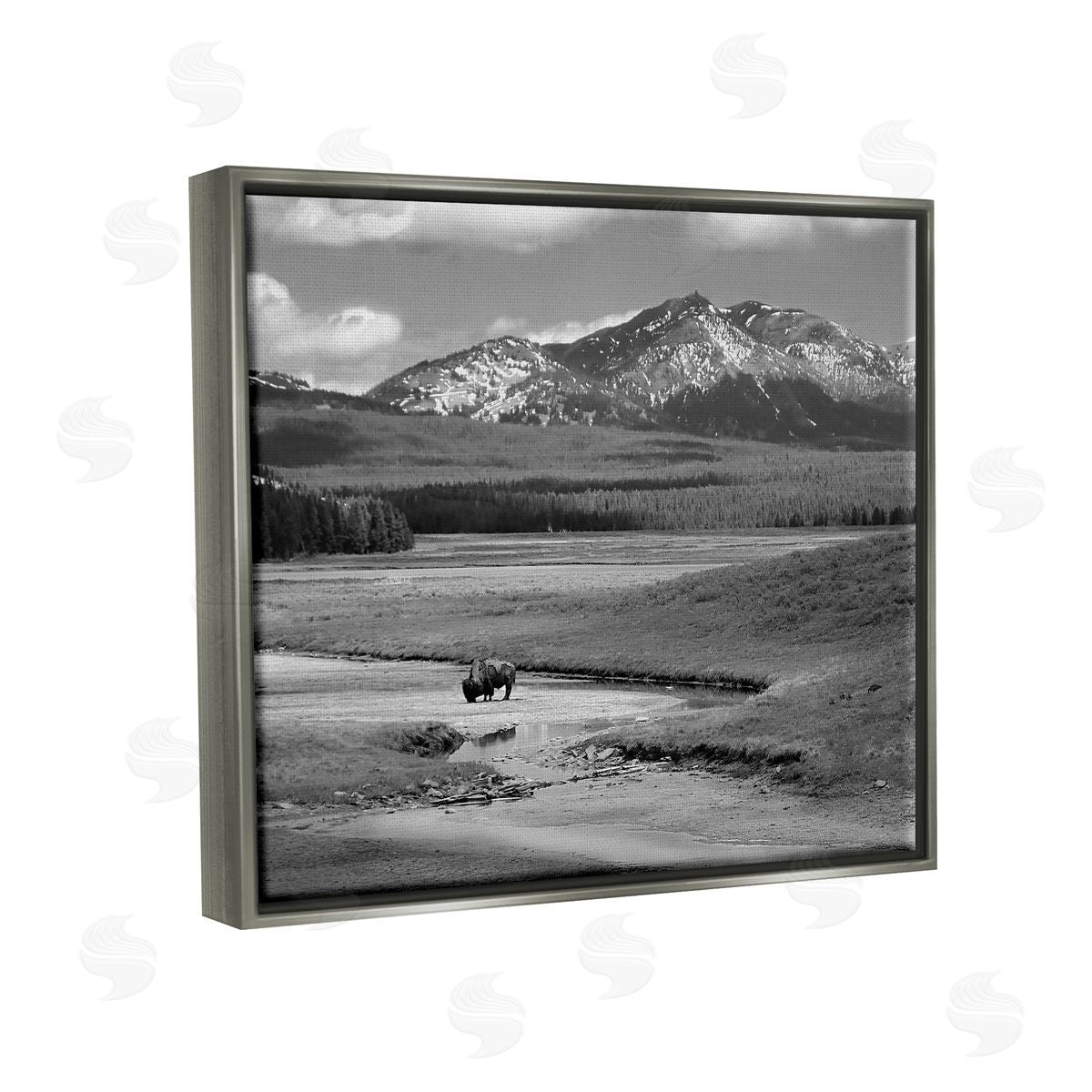 Steve Toole Bison in Mountain Scene Gray Floater Frame Canvas Artside_