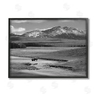 Steve Toole | Bison in Mountain Scene