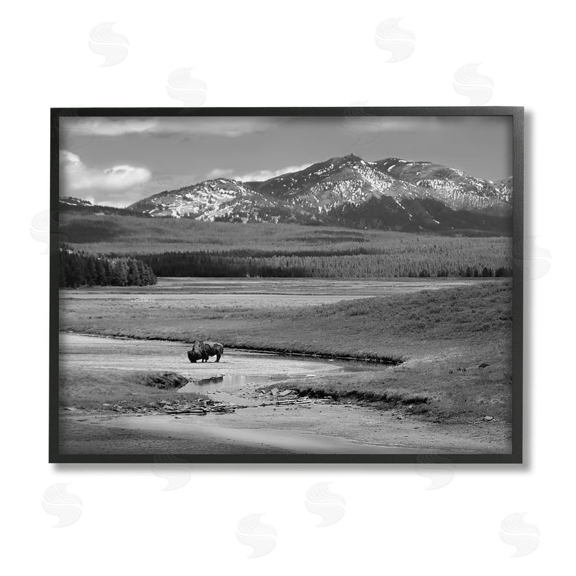 Steve Toole | Bison in Mountain Scene