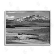 Steve Toole | Bison in Mountain Scene