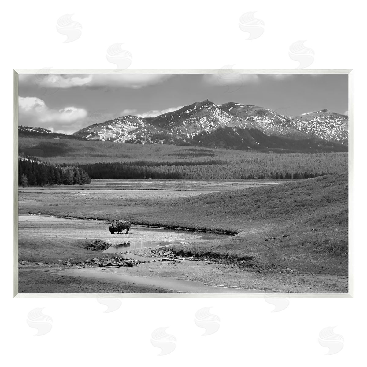 Steve Toole | Bison in Mountain Scene