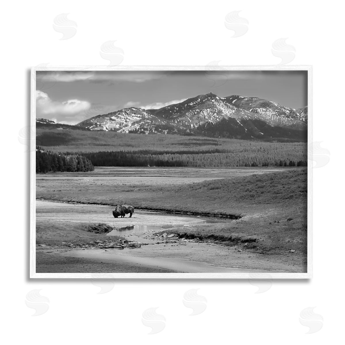 Steve Toole | Bison in Mountain Scene