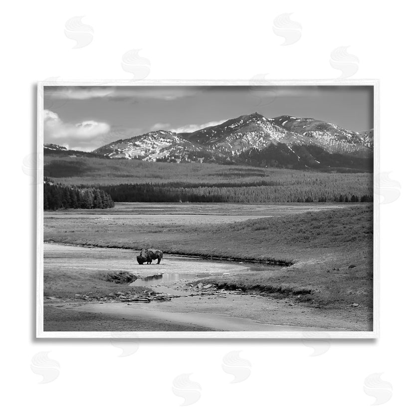 Steve Toole | Bison in Mountain Scene
