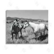 Steve Toole | Two Horses Photography