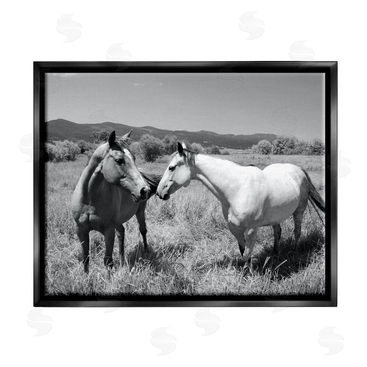 Steve Toole | Two Horses Photography
