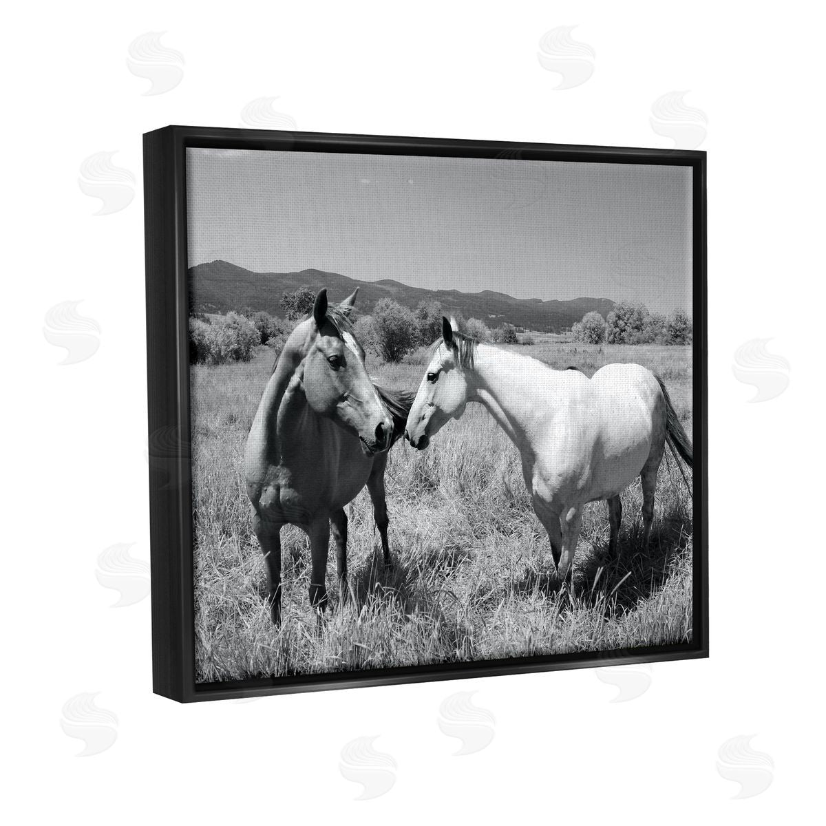 Steve Toole | Two Horses Photography