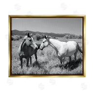 Steve Toole | Two Horses Photography
