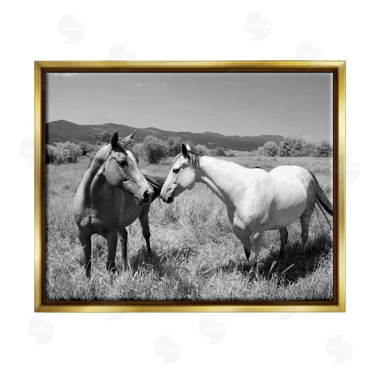 Steve Toole | Two Horses Photography