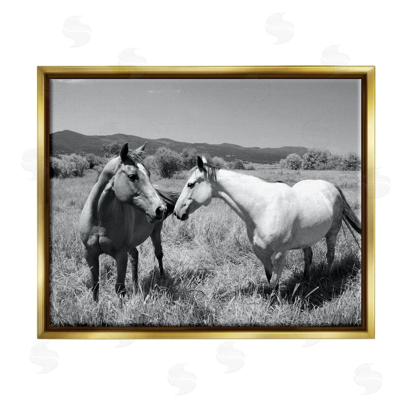 Steve Toole | Two Horses Photography
