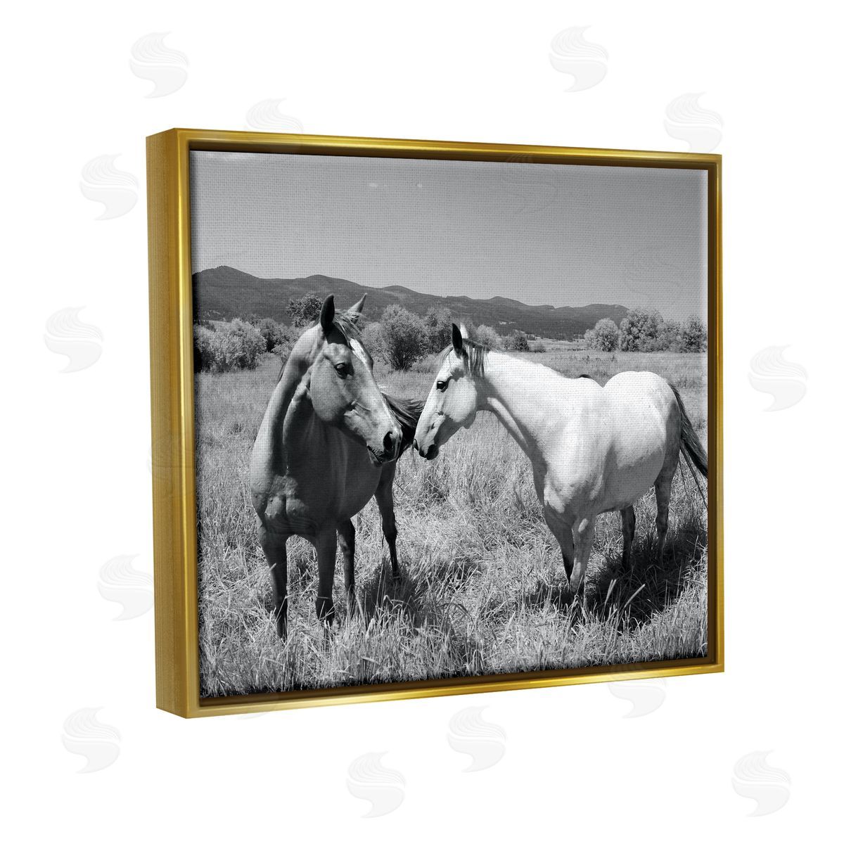 Steve Toole | Two Horses Photography